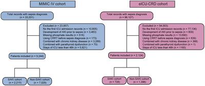 Serum phosphate levels and the development of sepsis associated acute kidney injury: evidence from two independent databases